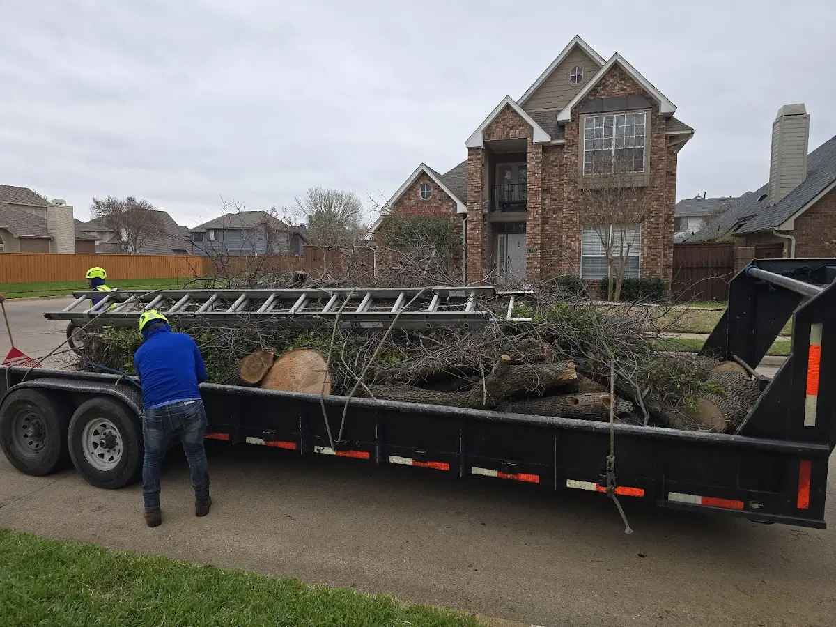 Expert Tree Removal with proper safety equipment in Protivin